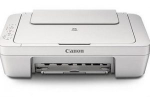 Canon MG2900 Printer